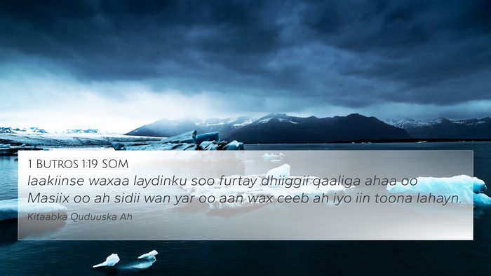 1 Butros 1:19 SOM Bible Verse Image