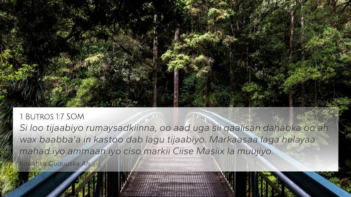 1 Butros 1:7 SOM Bible Verse Image