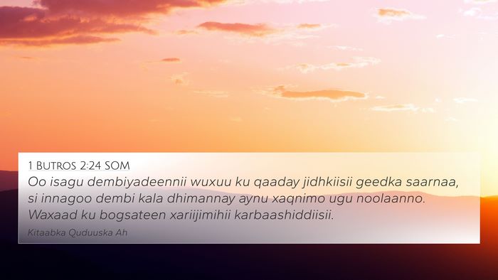 1 Butros 2:24 SOM Bible Verse Image
