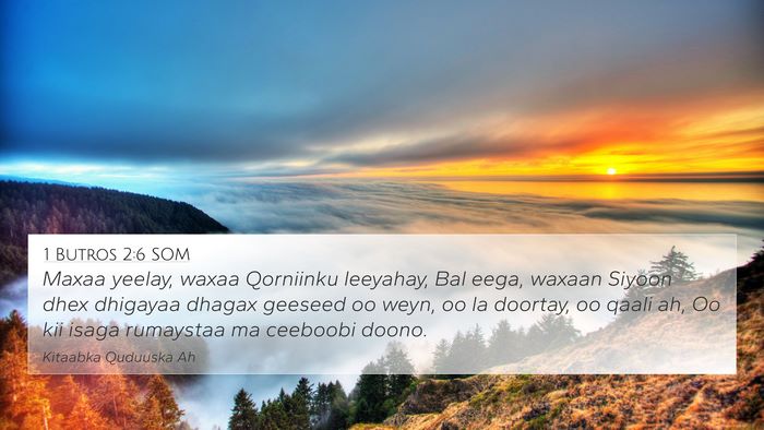 1 Butros 2:6 SOM Bible Verse Image