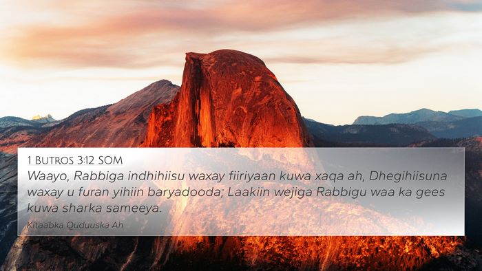 1 Butros 3:12 SOM Bible Verse Image