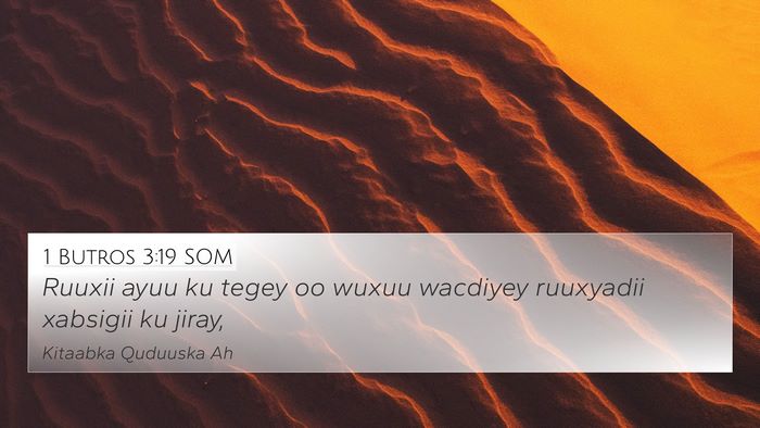 1 Butros 3:19 SOM Bible Verse Image