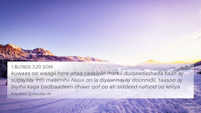 1 Butros 3:20 SOM Bible Verse Image