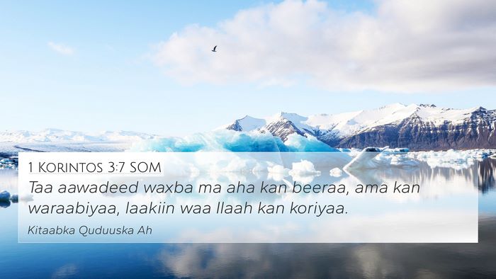 1 Korintos 3:7 SOM Bible Verse Image