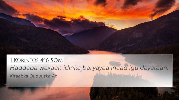 1 Korintos 4:16 SOM Bible Verse Image