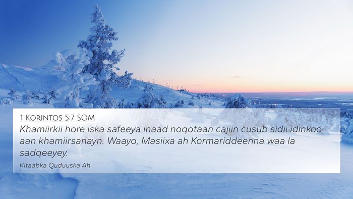 1 Korintos 5:7 SOM Bible Verse Image