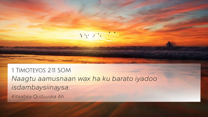 1 Timoteyos 2:11 SOM 4K Wallpaper - Naagtu aamusnaan wax ha ku barato iyadoo - 4K Wallpaper Bible Verse