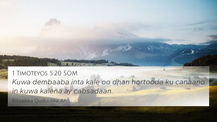1 Timoteyos 5:20 SOM Bible Verse Image