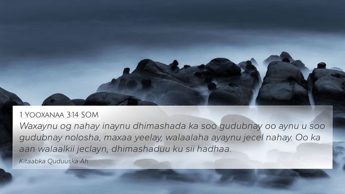 1 Yooxanaa 3:14 SOM Bible Verse Image