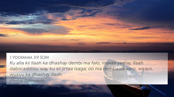 1 Yooxanaa 3:9 SOM Bible Verse Image