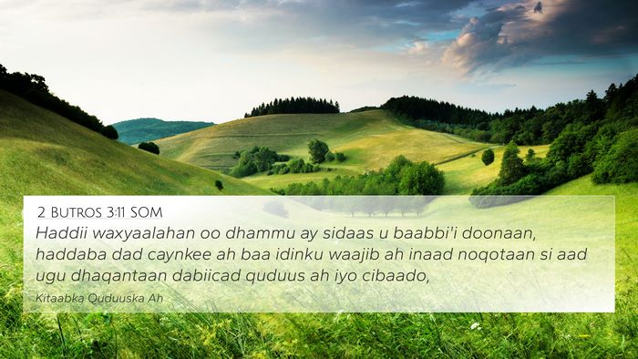 2 Butros 3:11 SOM Bible Verse Image