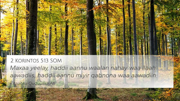 2 Korintos 5:13 SOM Bible Verse Image