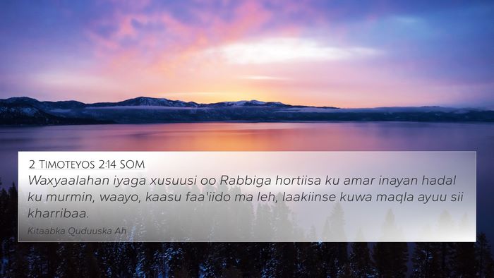 2 Timoteyos 2:14 SOM Bible Verse Image
