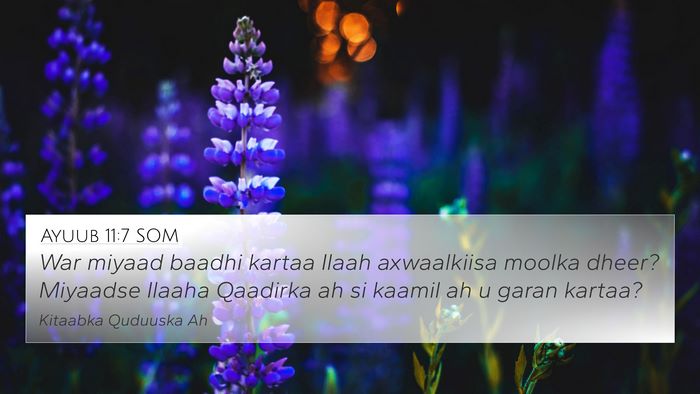 Ayuub 11:7 SOM Bible Verse Image
