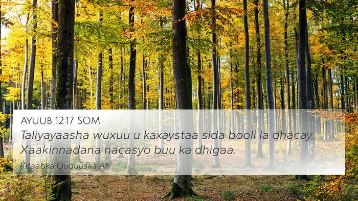 Ayuub 12:17 SOM Bible Verse Image