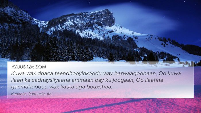 Ayuub 12:6 SOM Bible Verse Image