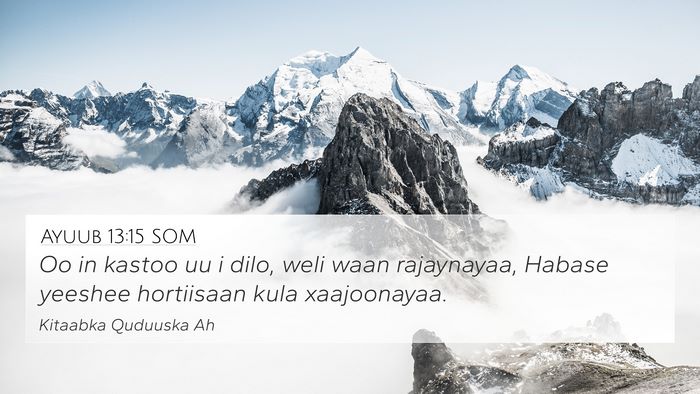 Ayuub 13:15 SOM Bible Verse Image