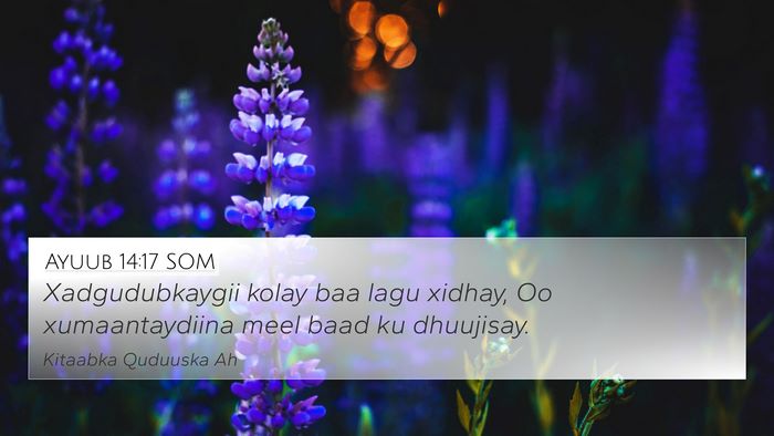 Ayuub 14:17 SOM Bible Verse Image