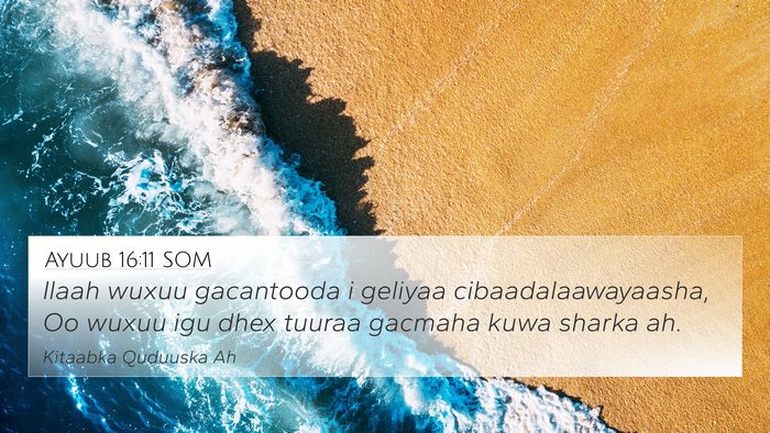Ayuub 16:11 SOM Bible Verse Image