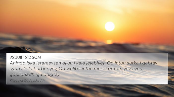 Ayuub 16:12 SOM Bible Verse Image