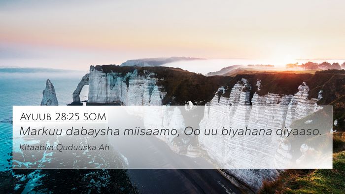 Ayuub 28:25 SOM 4K Wallpaper - Markuu dabaysha miisaamo, Oo uu biyahana - 4K Wallpaper Bible Verse