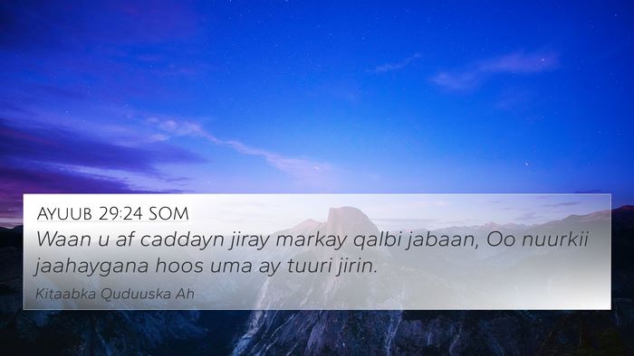 Ayuub 29:24 SOM Bible Verse Image