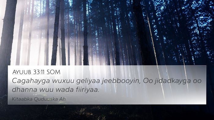 Ayuub 33:11 SOM Bible Verse Image