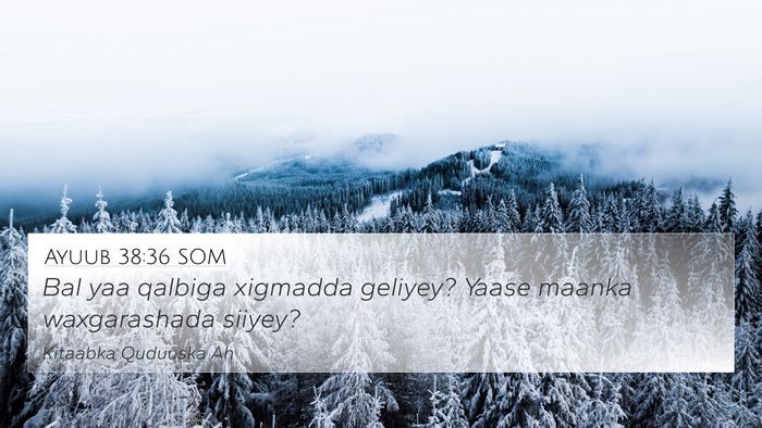 Ayuub 38:36 SOM Bible Verse Image
