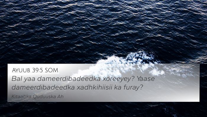 Ayuub 39:5 SOM Bible Verse Image
