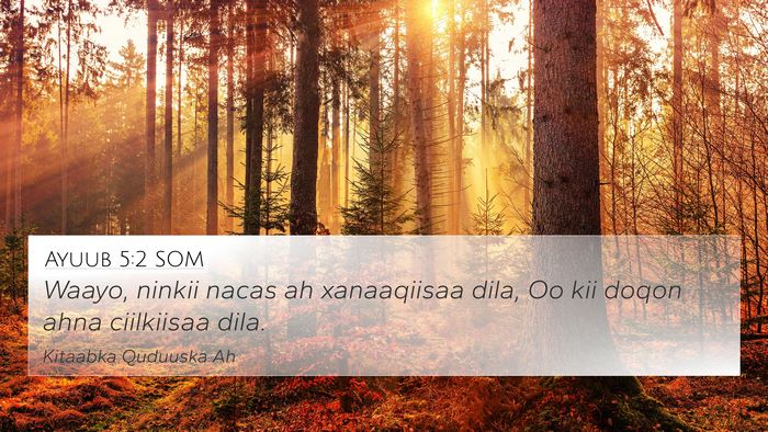 Ayuub 5:2 SOM Bible Verse Image