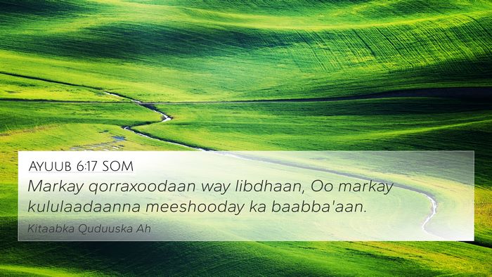 Ayuub 6:17 SOM 4K Wallpaper - Markay qorraxoodaan way libdhaan, Oo markay - 4K Wallpaper Bible Verse