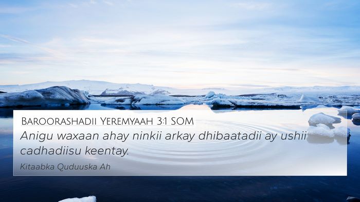 Baroorashadii Yeremyaah 3:1 SOM 4K Wallpaper - Anigu waxaan ahay ninkii arkay dhibaatadii ay - 4K Wallpaper Bible Verse