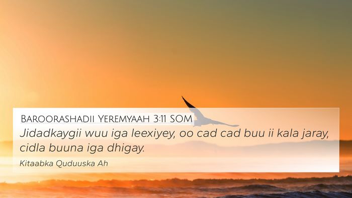 Baroorashadii Yeremyaah 3:11 SOM Bible Verse Image