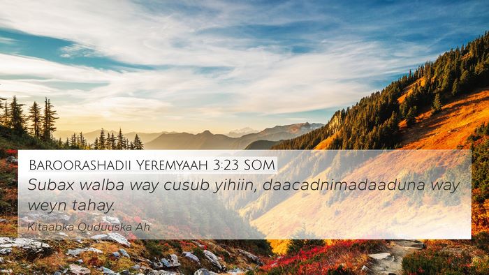 Baroorashadii Yeremyaah 3:23 SOM Bible Verse Image