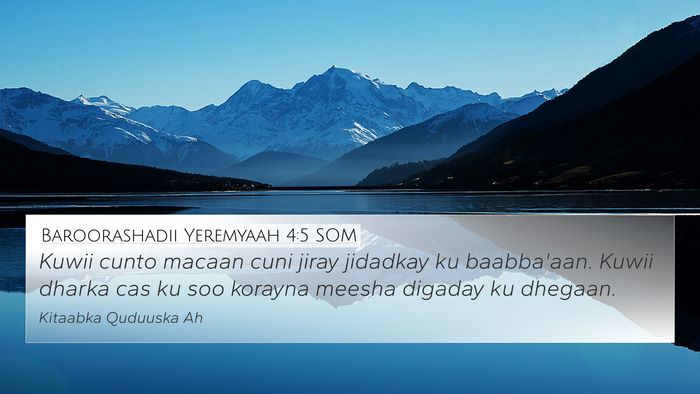 Baroorashadii Yeremyaah 4:5 SOM Bible Verse Image
