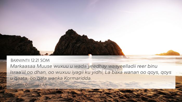 Baxniintii 12:21 SOM 4K Wallpaper - Markaasaa Muuse wuxuu u wada yeedhay waayeelladii - 4K Wallpaper Bible Verse