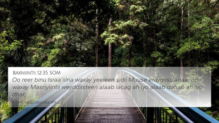 Baxniintii 12:35 SOM Bible Verse Image
