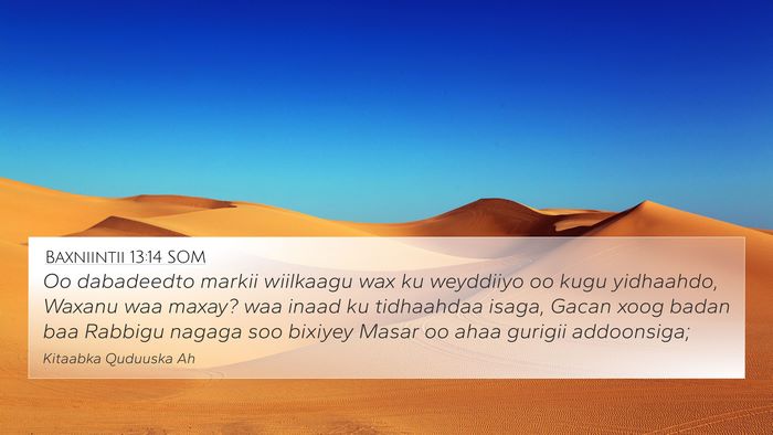 Baxniintii 13:14 SOM Bible Verse Image