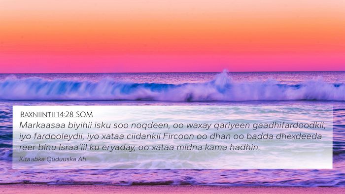 Baxniintii 14:28 SOM Bible Verse Image