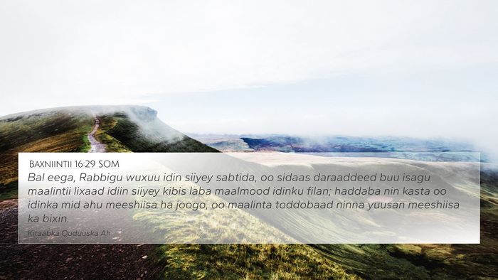 Baxniintii 16:29 SOM Bible Verse Image