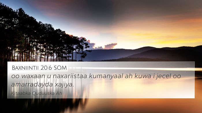 Baxniintii 20:6 SOM Bible Verse Image