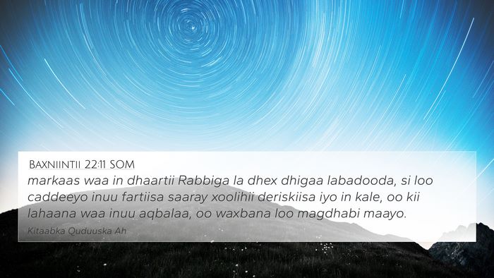 Baxniintii 22:11 SOM Bible Verse Image