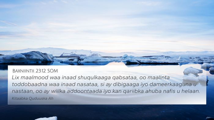 Baxniintii 23:12 SOM Bible Verse Image