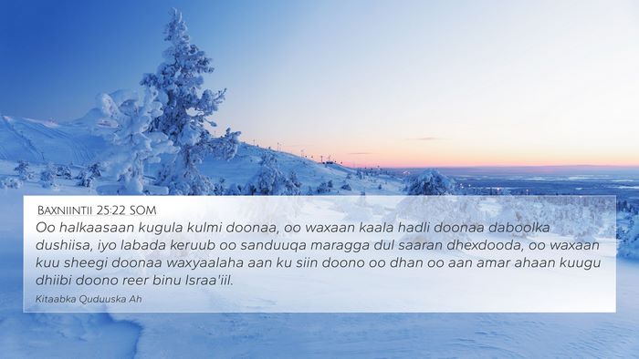 Baxniintii 25:22 SOM Bible Verse Image