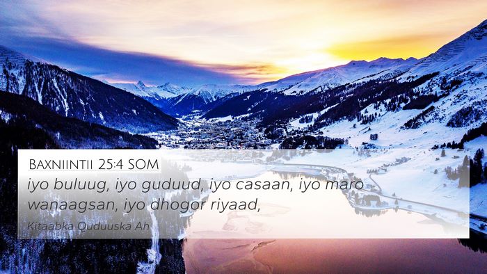 Baxniintii 25:4 SOM Bible Verse Image