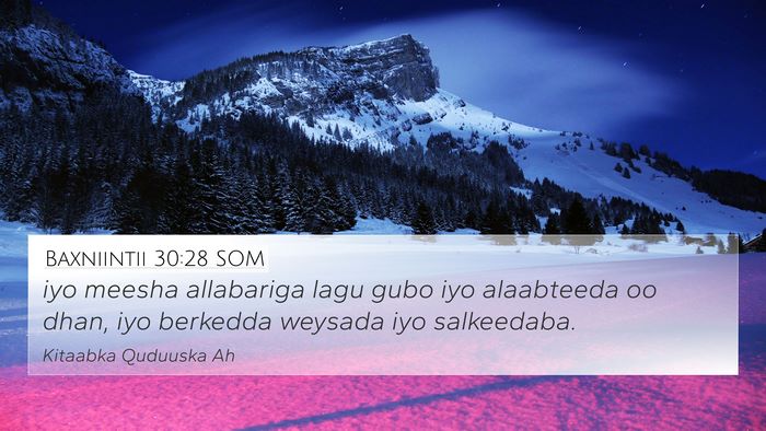 Baxniintii 30:28 SOM Bible Verse Image