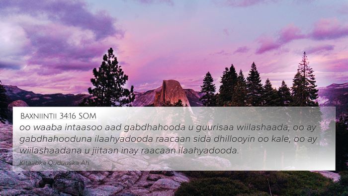 Baxniintii 34:16 SOM Bible Verse Image