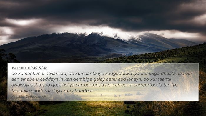 Baxniintii 34:7 SOM Bible Verse Image