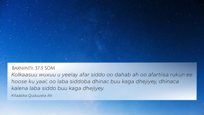 Baxniintii 37:3 SOM Bible Verse Image