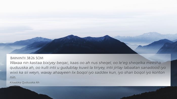 Baxniintii 38:26 SOM Bible Verse Image